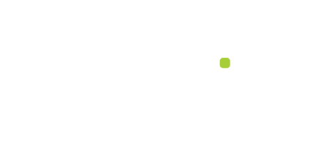 Platin logo